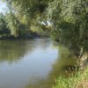 finnek 2011 008